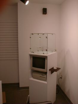 02262003