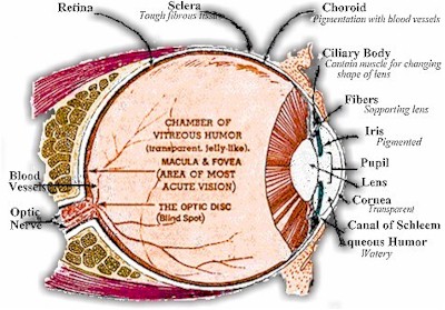 07012003eyeball