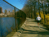 Image-15