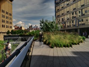 IMG_0780