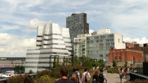 IMG_0788