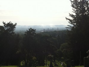IMG_0984