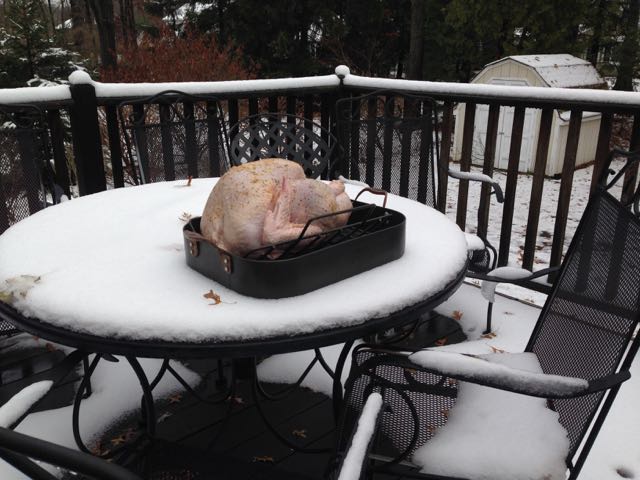 Turkey brining on back deck