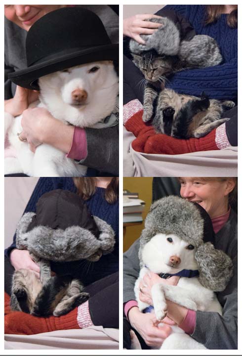 4catdoghatpixThanksgiving2014