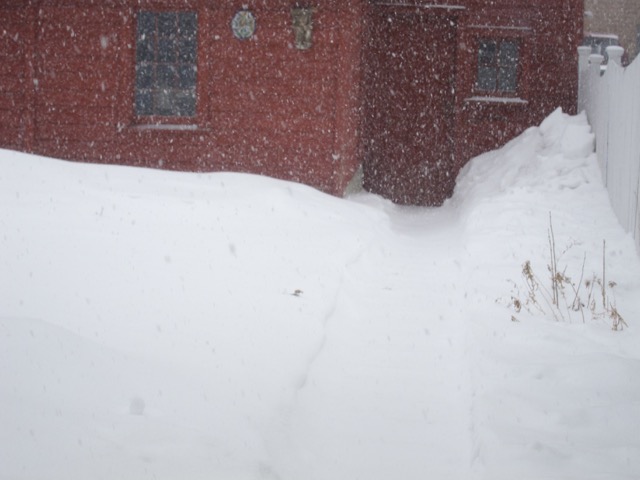 02212015-snow-backyard
