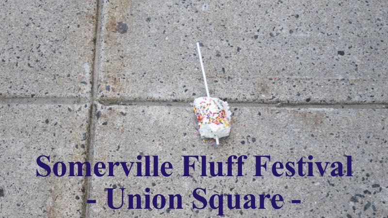 Cambridge Weekend 0924-25/2016, Fluff Festival Sommervile MA